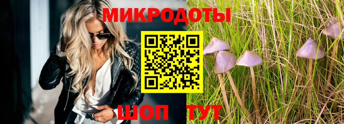 Галлюциногенные грибы MAGIC MUSHROOMS  даркнет сайт  Вход с VPN  Заволжье  Галлюциногенные грибы мицелий 